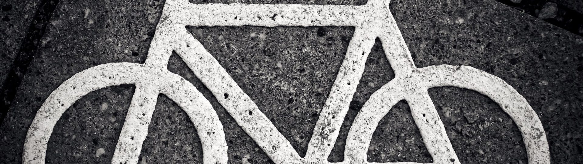 VVN het nieuwe fietsen workshop
